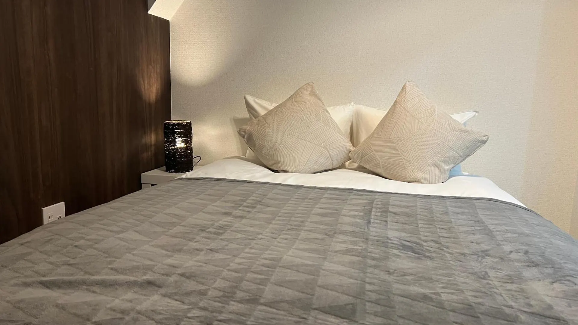 Aparthotel Ikebukuro Area 41 Nishiikeapartment Tokyo Japan